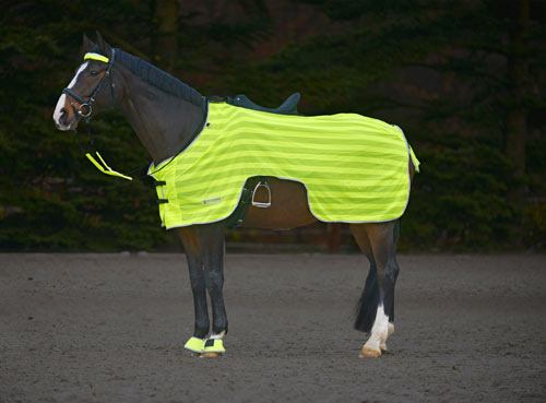 Ausreitdecke Ausreitdecke