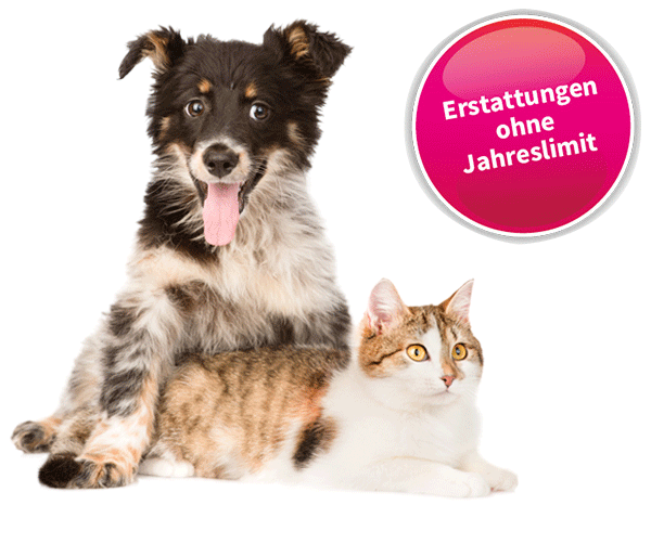 OP Krankenversicherung Hund und Katze