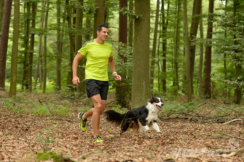 Joggen Mit Hund