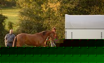 Tipps zum Pferdetransport Tipps zum Pferdetransport